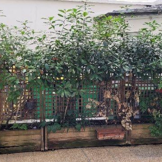  Annonces PUTEAUX : Appartement | PARIS (75017) | 17 m2 | 150 000 &euro; 