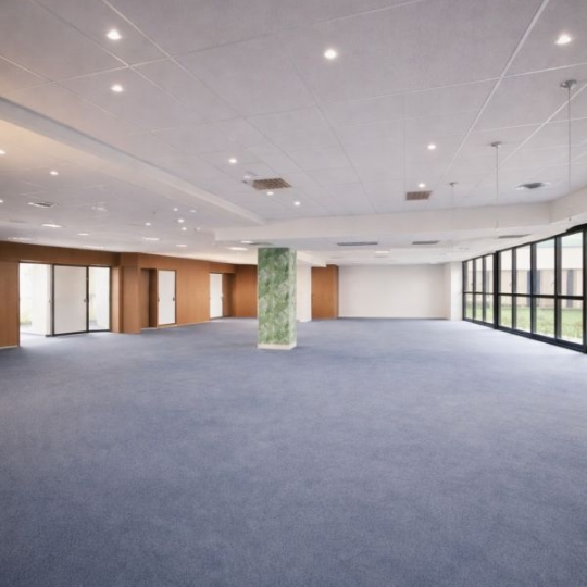  Annonces PUTEAUX : Local / Bureau | SAINT-DENIS (93200) | 425 m2 | 4 250 &euro; 