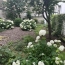  Annonces PUTEAUX : Appartement | PARIS (75009) | 30 m2 | 425 000 &euro; 